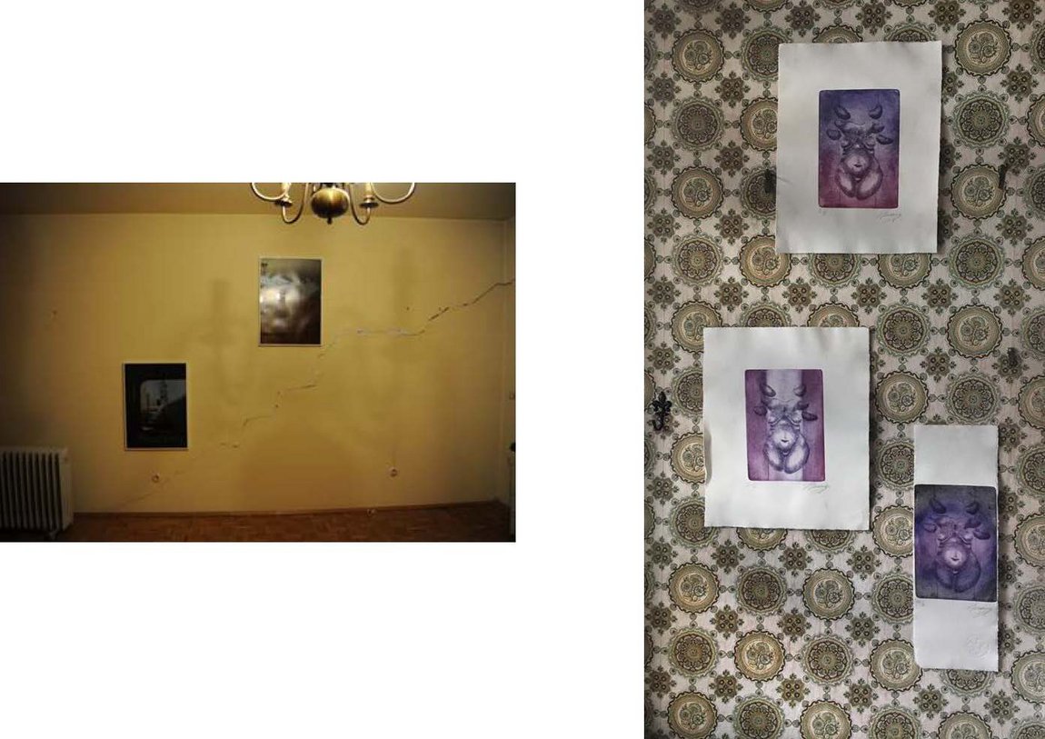 User Image 2